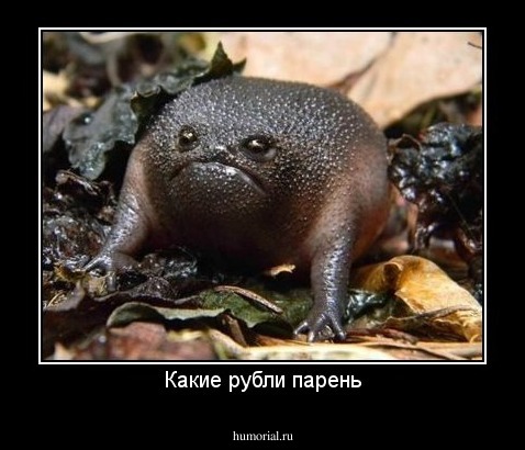 Какие рубли парень