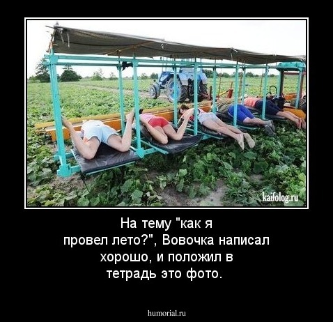 На тему "как я провел лето?", Вовочка написал хорошо, и положил в тетрадь это фото.