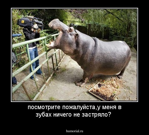 посмотрите пожалуйста,у меня в зубах ничего не застряло?