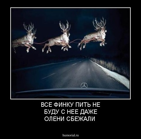ВСЕ ФИНКУ ПИТЬ НЕ БУДУ С НЕЕ ДАЖЕ ОЛЕНИ СБЕЖАЛИ