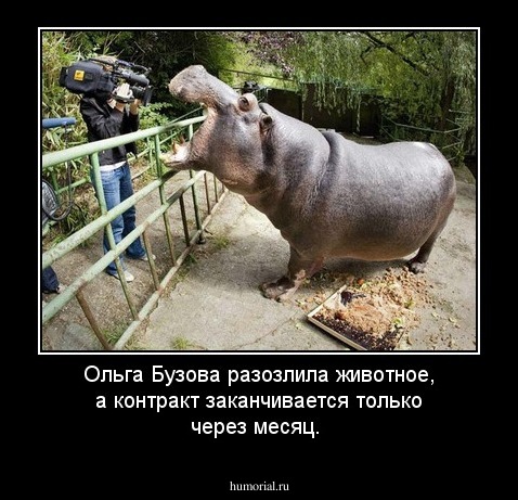 Ольга Бузова разозлила животное, а контракт заканчивается только через месяц.