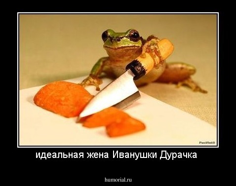 идеальная жена Иванушки Дурачка 
