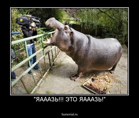 "ЯАААЗЬ!!! ЭТО ЯАААЗЬ!"