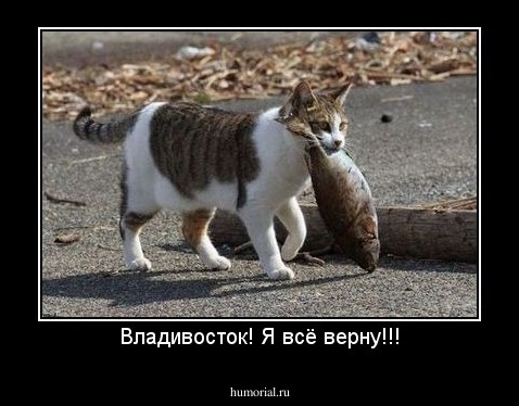Владивосток! Я всё верну!!!