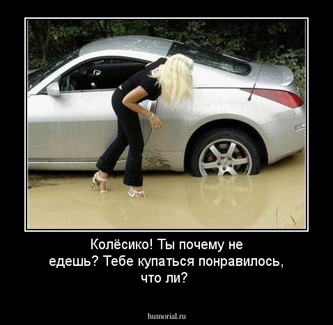 Колёсико! Ты почему не едешь? Тебе купаться понравилось, что ли?
