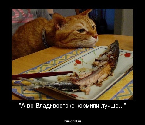 "А во Владивостоке кормили лучше..."