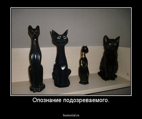 Опознание подозреваемого.