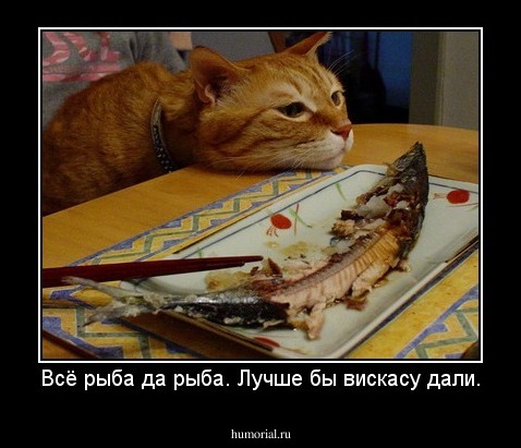 Всё рыба да рыба. Лучше бы вискасу дали.