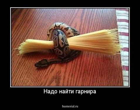 Надо найти гарнира