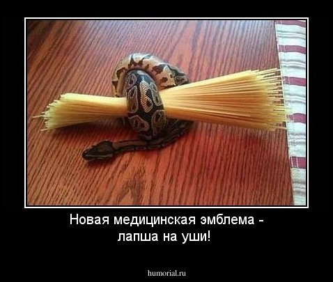 Новая медицинская эмблема -  лапша на уши!