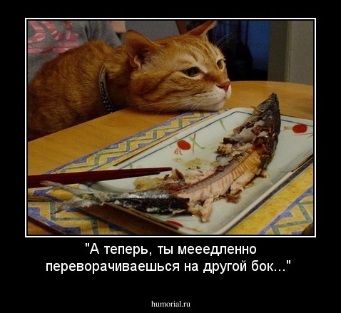 "А теперь, ты мееедленно переворачиваешься на другой бок..."