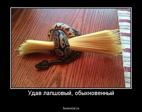 Удав лапшовый, обыкновенный