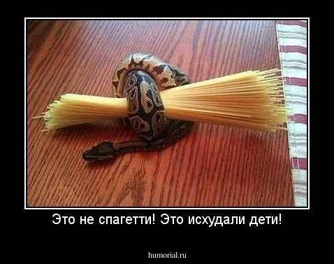 Это не спагетти! Это исхудали дети!