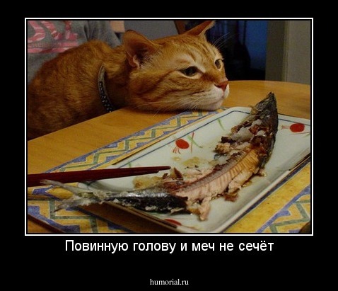 Повинную голову и меч не сечёт