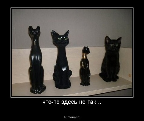 что-то здесь не так...