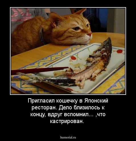 Пригласил кошечку в Японский ресторан. Дело близилось к концу, вдруг вспомнил... ,что кастрирован.
