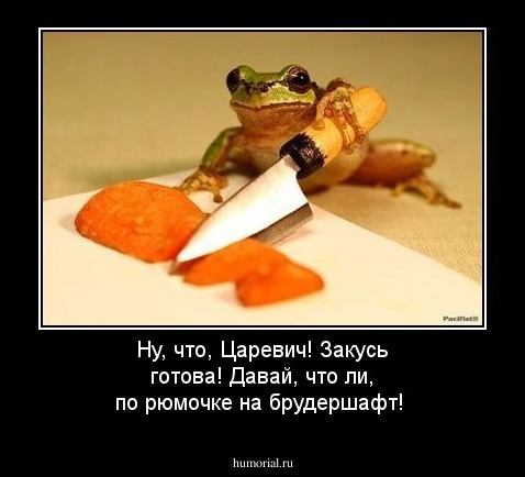 Ну, что, Царевич! Закусь готова! Давай, что ли, по рюмочке на брудершафт!