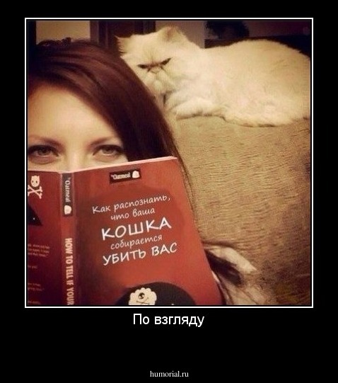 По взгляду
