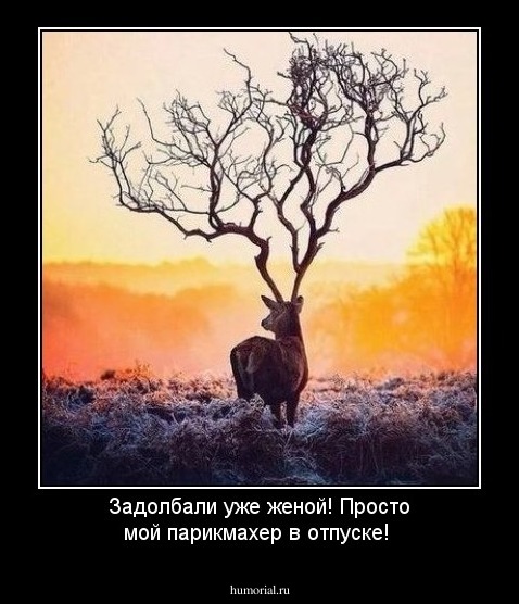 Задолбали уже женой! Просто мой парикмахер в отпуске!