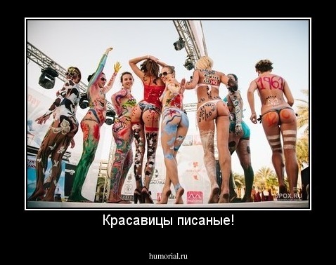 Красавицы писаные!