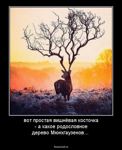 вот простая вишнёвая косточка - а какое родословное дерево Мюнхгаузенов...