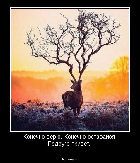 Конечно верю. Конечно оставайся. Подруге привет.