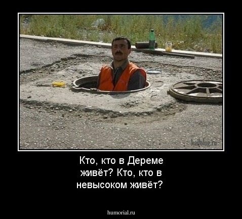 Кто, кто в Дереме живёт? Кто, кто в невысоком живёт?
