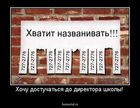 Хочу достучаться до директора школы! 