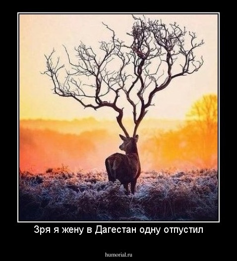 Зря я жену в Дагестан одну отпустил