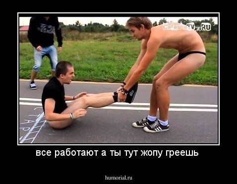 все работают а ты тут жопу греешь 