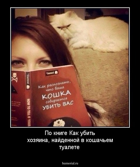 По книге ''Как убить хозяина'', найденной в кошачьем туалете