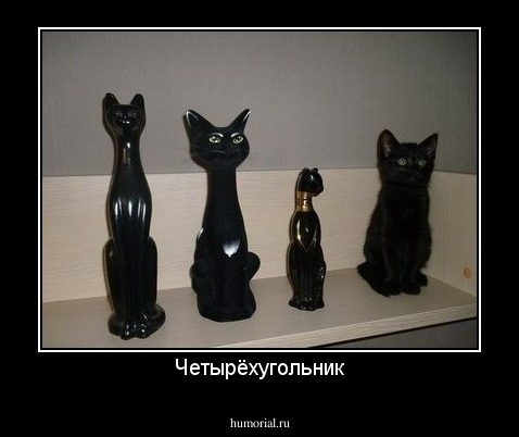 Четырёхугольник