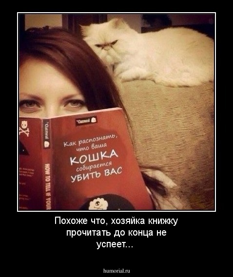 Похоже что, хозяйка книжку прочитать до конца не успеет...