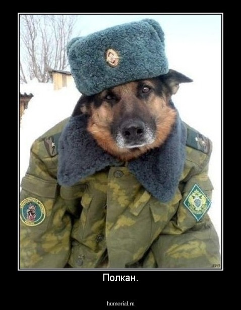 Полкан.