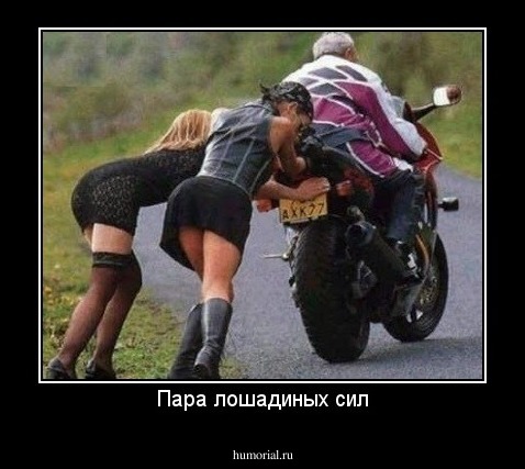 Пара лошадиных сил