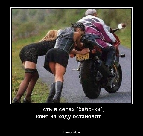 Есть  "бабочки" в русских селениях...