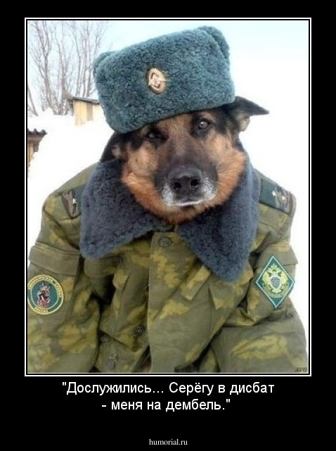 "Дослужились... Серёгу в дисбат - меня на дембель."