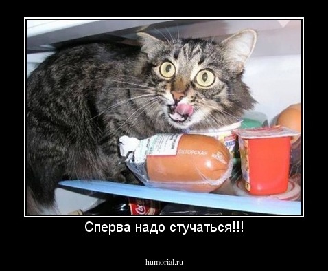 Сперва надо стучаться!!!