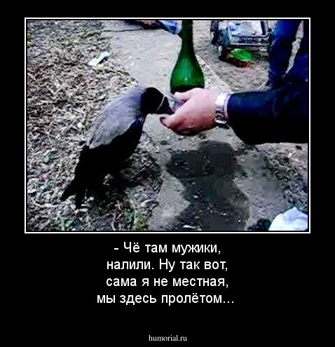 - Чё там мужики, налили. Ну так вот, сама я не местная, мы здесь пролётом...
