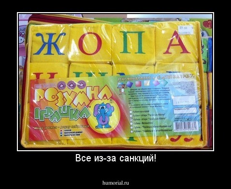 Все из-за санкций!