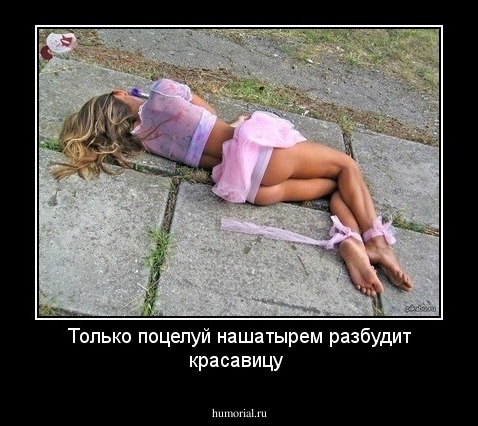Только поцелуй нашатырем разбудит красавицу 