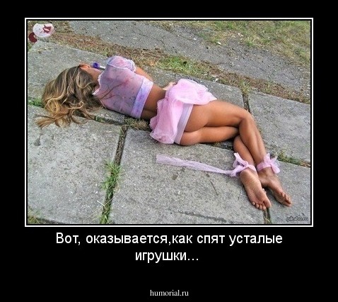 Вот, оказывается,как спят усталые игрушки...