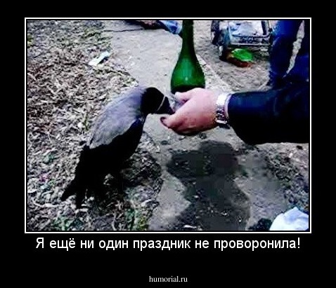 Я ещё ни один праздник не проворонила!