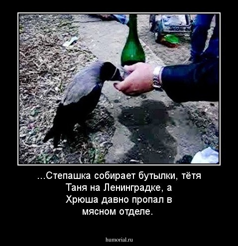 ...Степашка собирает бутылки, тётя Таня на Ленинградке, а Хрюша давно пропал в мясном отделе.