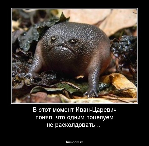 В этот момент Иван-Царевич понял, что одним поцелуем не расколдовать...