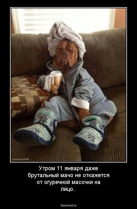 Утром 11 января даже брутальный мачо не откажется от огуречной масочки на лицо.