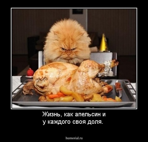 Жизнь, как апельсин и у каждого своя доля.