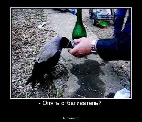 - Опять отбеливатель? 