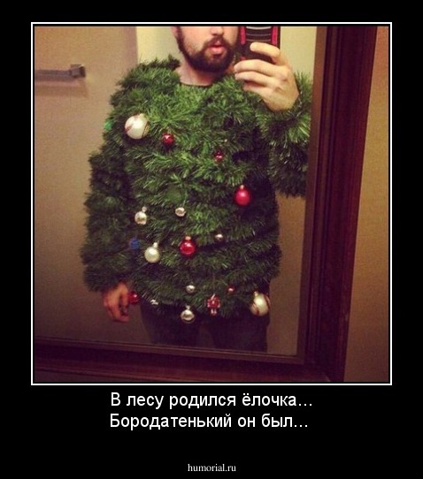 В лесу родился ёлочка...
Бородатенький он был...