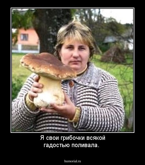 Я свои грибочки всякой гадостью поливала.